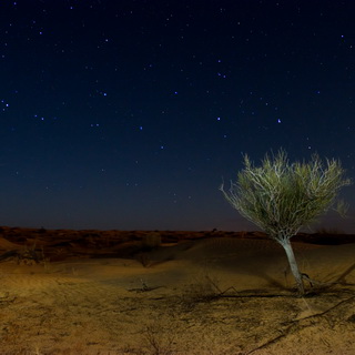 Starry sky